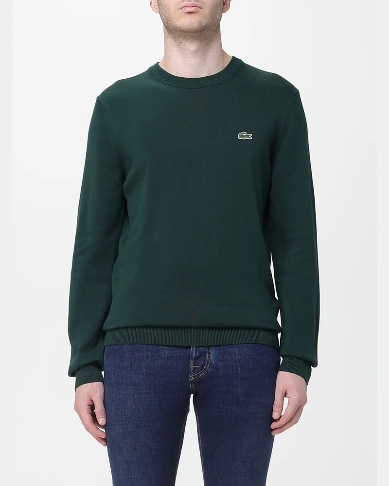 Lacoste Pullover herren Grün