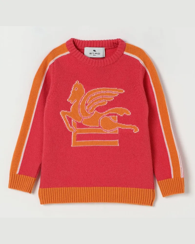Etro Pullover kinder Pink