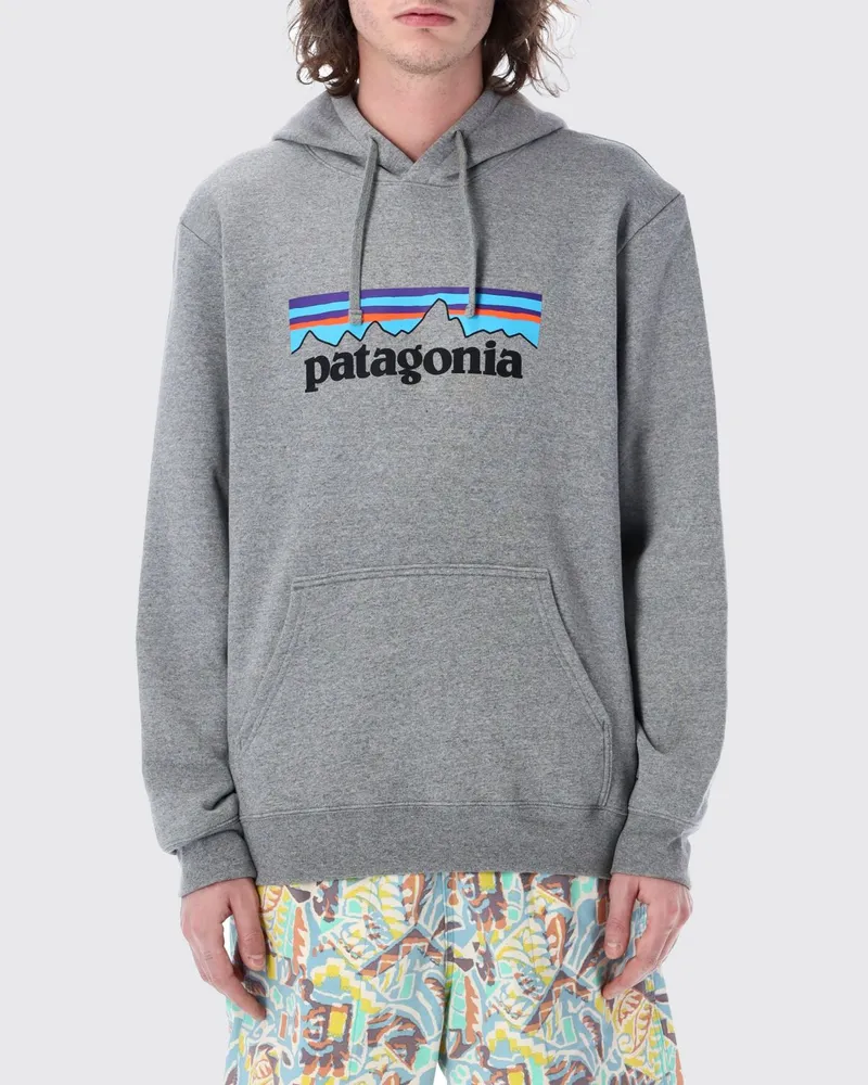 Patagonia Sweatshirt herren Grau