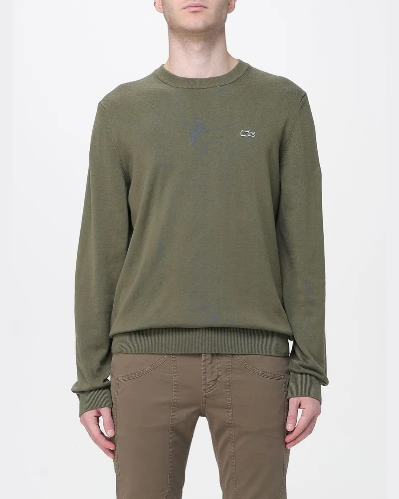 Lacoste Pullover herren Grün