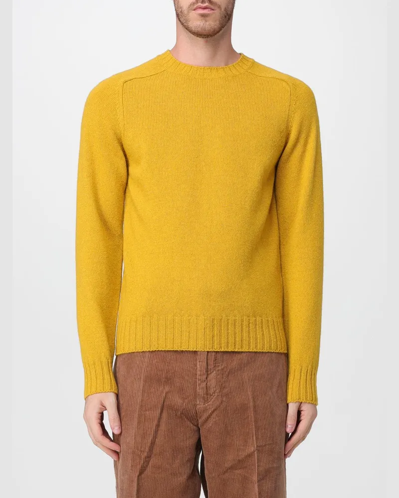 Sebago Pullover mit Rundhalsausschnitt aus reiner Wolle und Rippenbündchen Ocker