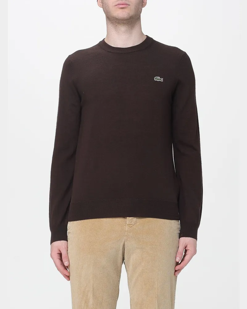 Lacoste Pullover herren Dark