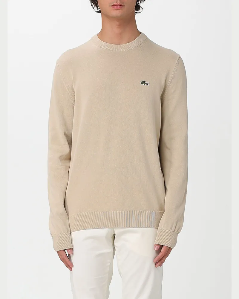 Lacoste Pullover herren Beige