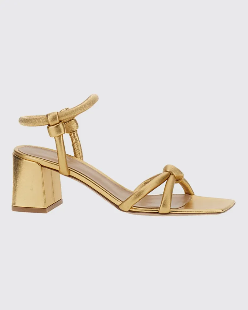 Gianvito Rossi Schuhe damen Braun