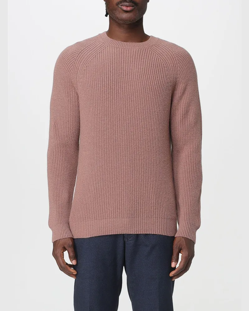 Zanone Pullover herren Puder