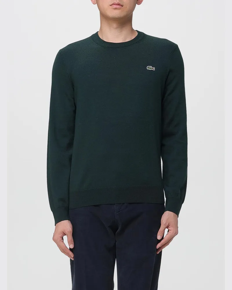 Lacoste Pullover herren Grün