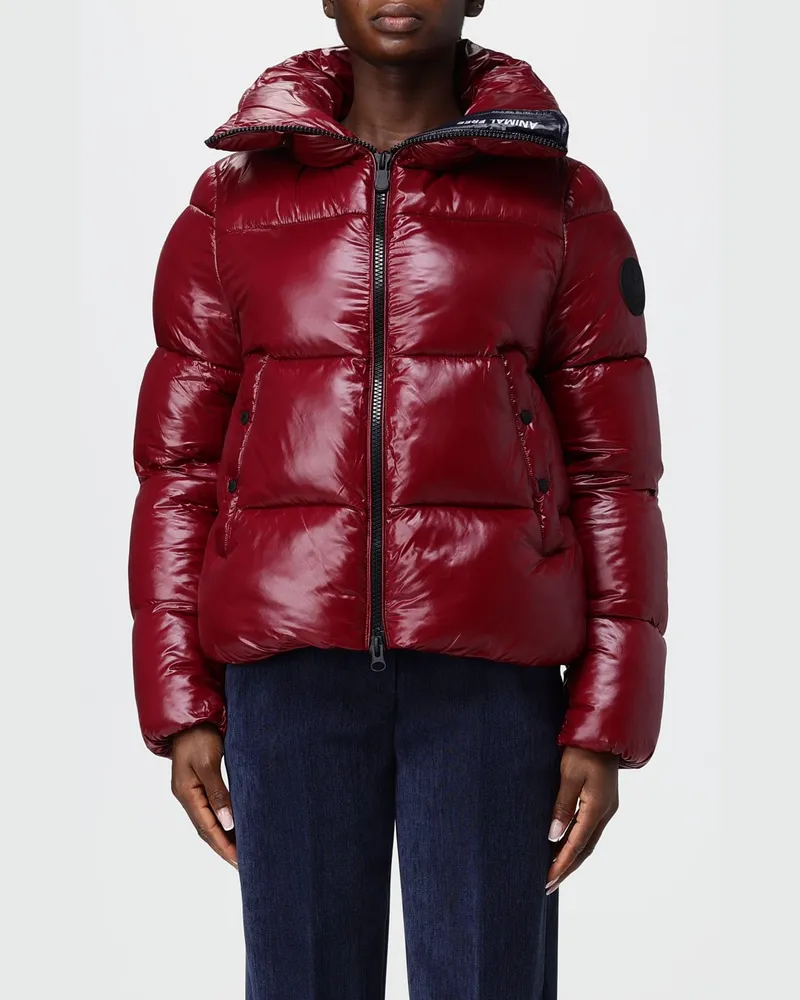 Save The Duck Kurze Polyester-Daunenjacke von mit hohem Kragen und ThermoPlume®-Wattierung Burgunderrot