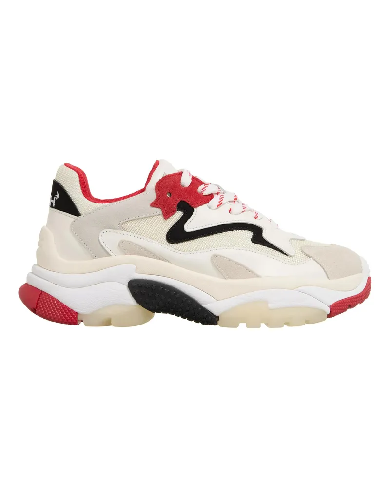 ash Low-Top Sneaker Addict02 bunt Bunt