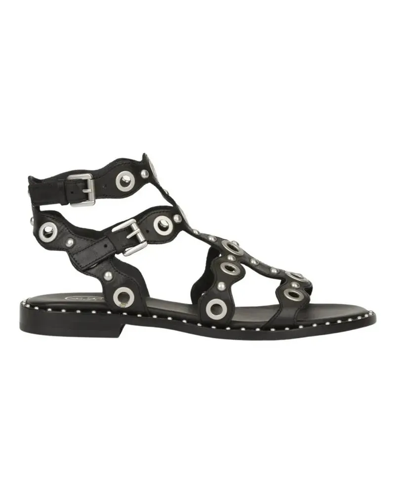 ash Sandalen Sandals With Circular Cutouts And Metallic Accents schwarz Schwarz
