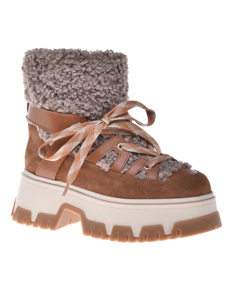 Baldinini Stiefeletten STIEFEL  braun Braun