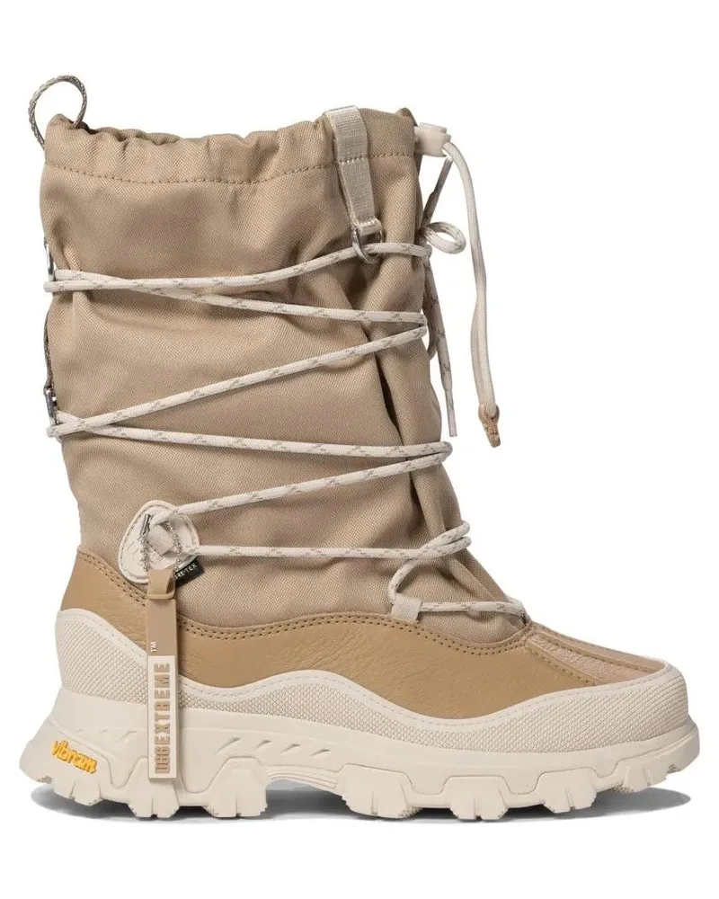 UGG Stiefel Sole Ankle Boots With Lace-Up Detail beige Beige