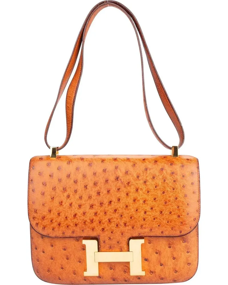 Hermès Crossbody Bags Hermes Ostrich Constance 23 Shoulder Bag bunt Bunt
