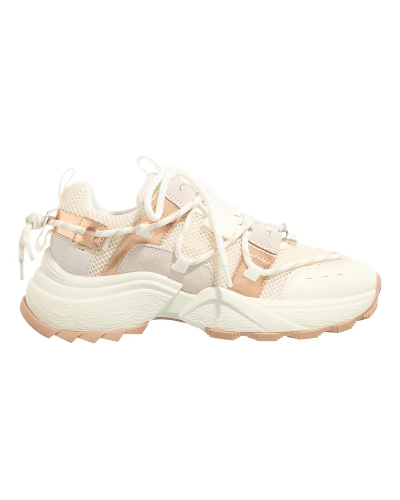 Steve Madden Low-Top Sneaker Tazmania creme Creme