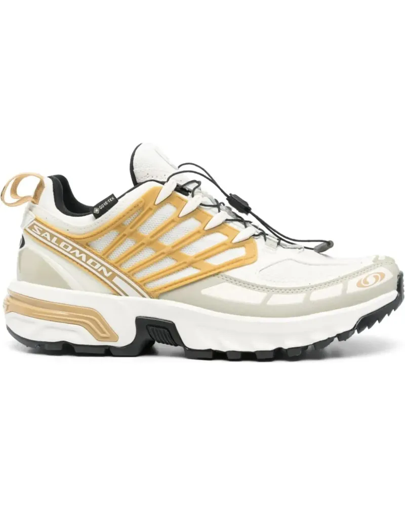 Salomon Low-Top Sneaker Acs Pro Gtx Iciclel/antelope/tea bunt Bunt