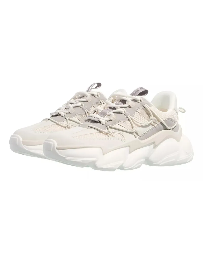 Steve Madden Sneaker Spectator grau Grau