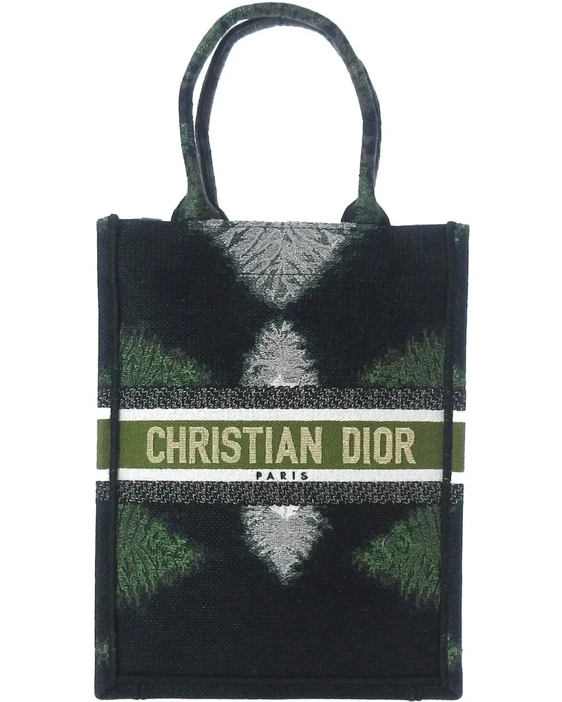Dior Shopper 2020 Tie Dye Vertical Book Tote grün Grün