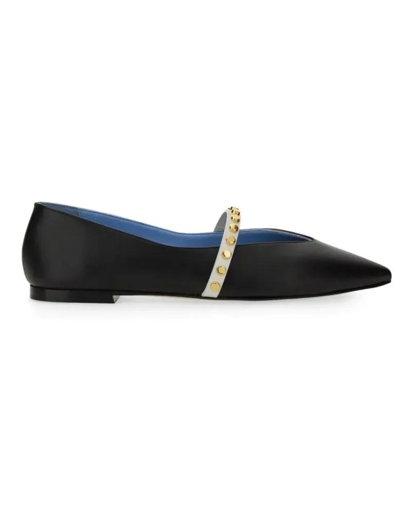 Alexander McQueen Leather Ballerina Flats With Pointed Toe schwarz Schwarz