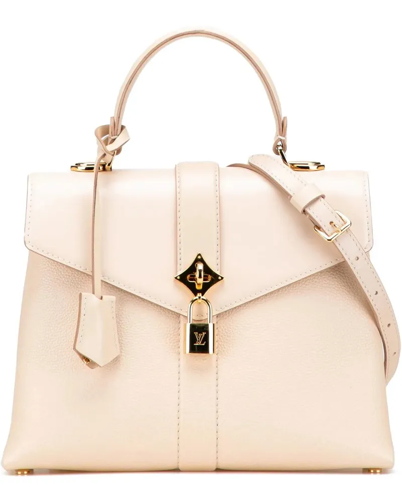 Louis Vuitton Hobo Bags Grained Smooth Calfskin Rose Des Vents PM braun Braun