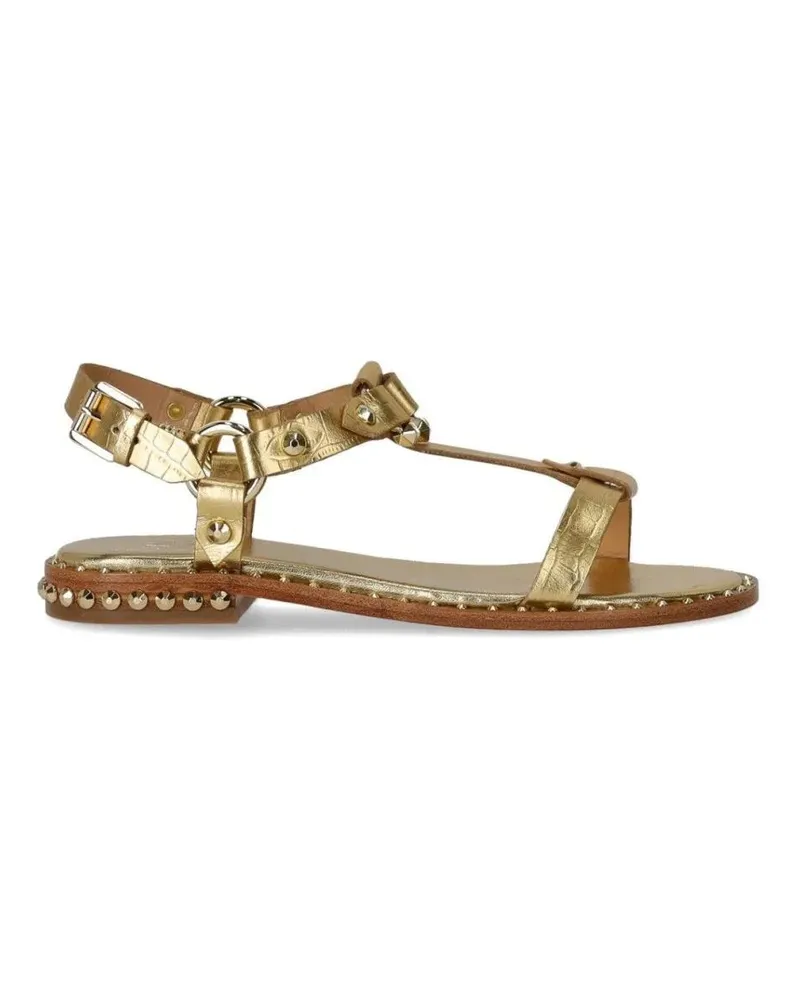 ash Sandalen Patsy Gold Flat Sandal braun Braun