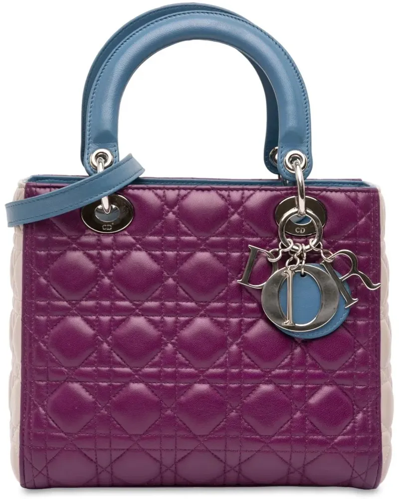 Dior Hobo Bags Medium Tricolor Lambskin Cannage Lady Dior orange Orange