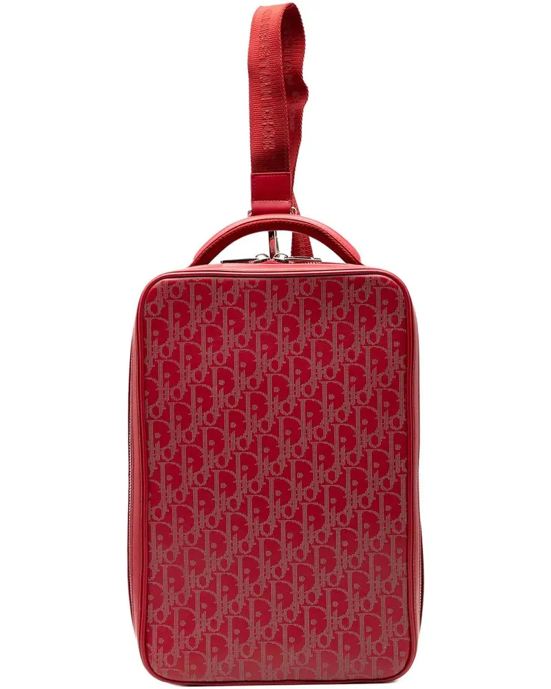 Dior Hobo Bags Oblique Perforated Calfskin Galaxy World Tour Shoe rot Rot