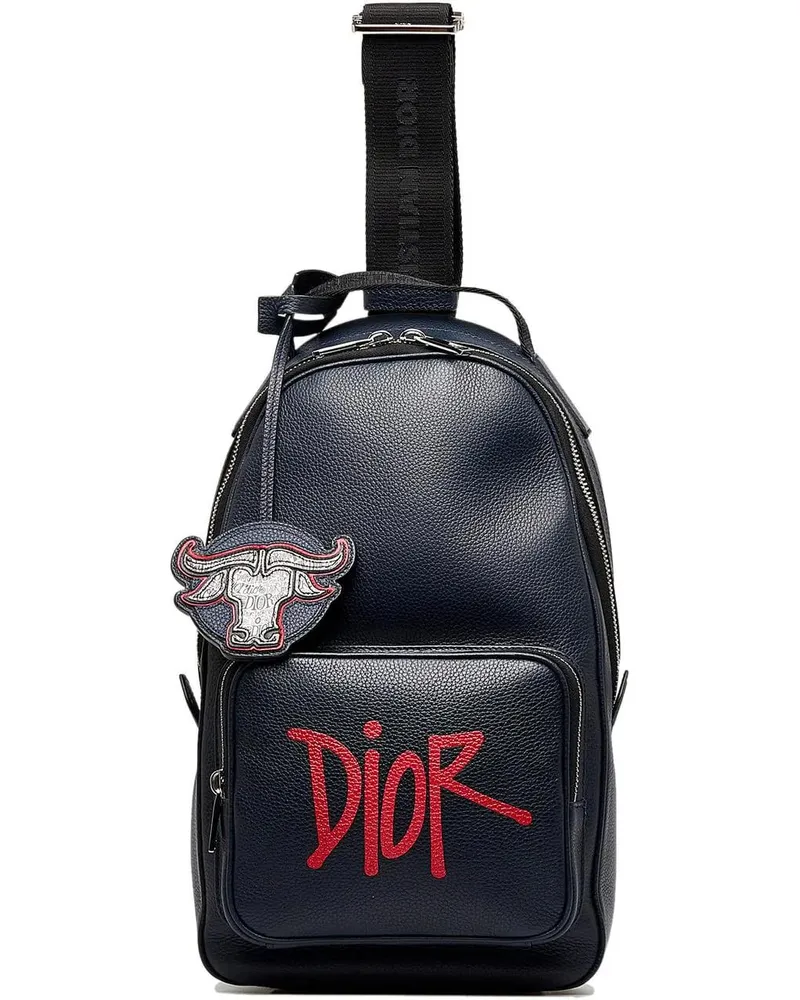 Dior Rucksäcke 2020 x Shawn Stussy Year of the Ox Sling blau Blau