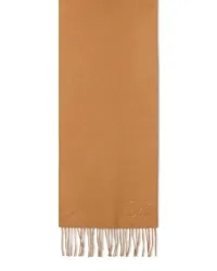 Max Mara Tücher & Schals Wsdalia' Brown Cashmere Scarf Braun