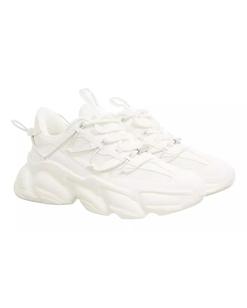 Steve Madden Low-Top Sneaker Spectator weiß Weiß