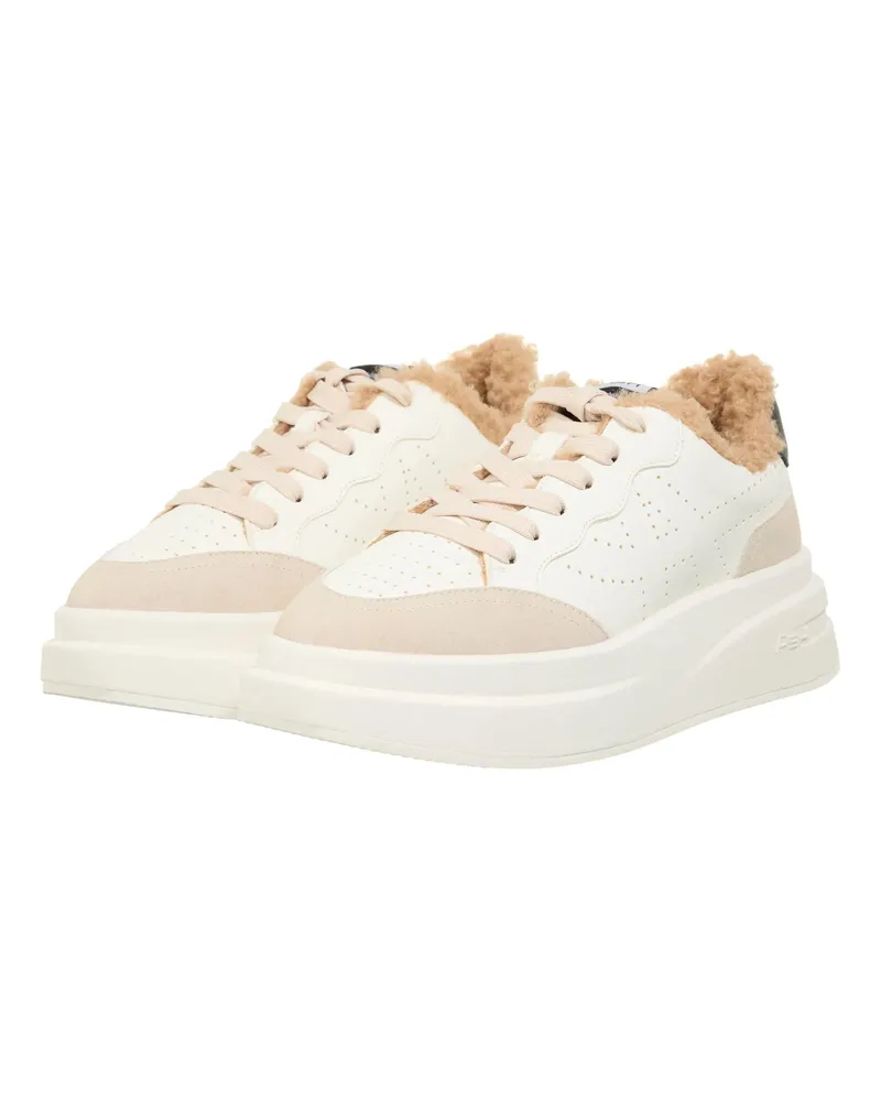 ash Sneaker Impuls Fur beige Beige