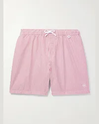 Loro Piana Shorts da mare medi a gamba dritta a righe Bay Rosa