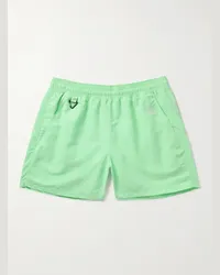 Nike Shorts a gamba larga in nylon con logo ricamato ACG Reservoir Goat Verde