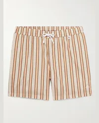 Loro Piana Shorts da mare medi a gamba dritta a righe Bay Neutri