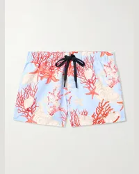 Versace Shorts da mare corti a gamba dritta stampati Blu