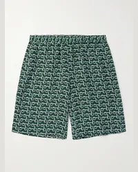 Burberry Shorts a gamba dritta in popeline di seta stampato Verde