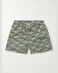 Rubinacci Shorts da mare medi a gamba dritta in shell stampato Verde