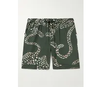 Shorts da pigiama in cotone stampato
