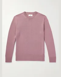 MR P. Pullover in lana merino Golf Rosa