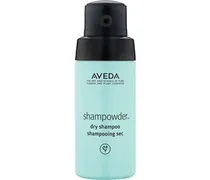 Hair Care Shampoo Dry Shampoo