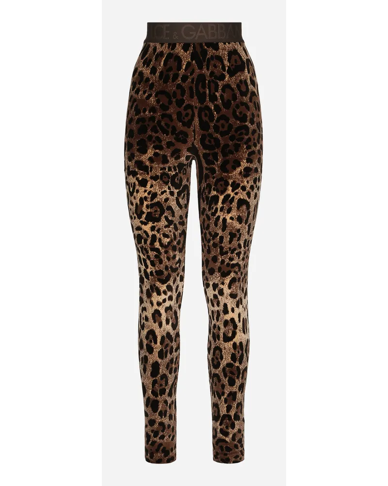 Dolce & Gabbana Leggings In Ciniglia Jacquard Leopardo - Donna Pantaloni E Shorts Multicolore Cotone Jacquard