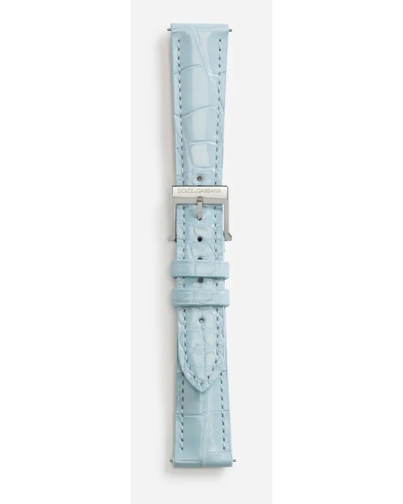 Dolce & Gabbana Alligator Strap With Buckle And Hook In Steel - Donna Cinturini Da Orologio Azzurro Azzurro