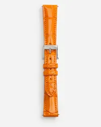 Dolce & Gabbana Alligator Strap With Buckle And Hook In Steel - Donna Orologi E Cinturini Arancione Arancione