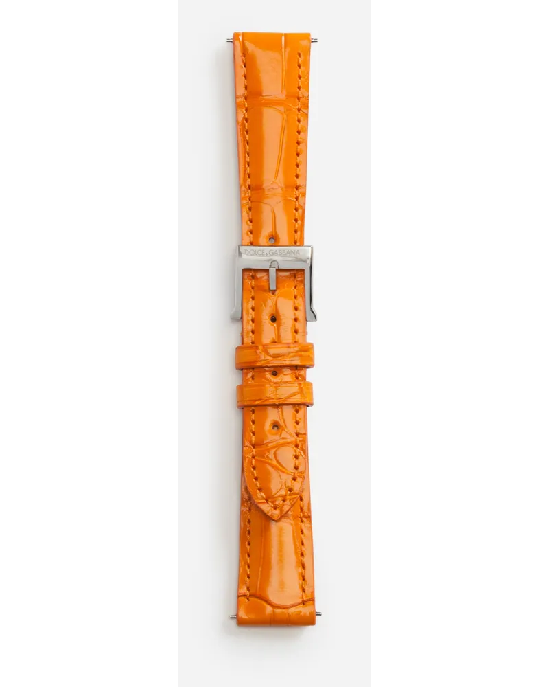 Dolce & Gabbana Alligator Strap With Buckle And Hook In Steel - Donna Cinturini Da Orologio Arancione Arancione