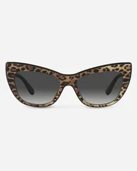 Dolce & Gabbana New Print Sunglasses - Donna Icons Stampa Leo Generic