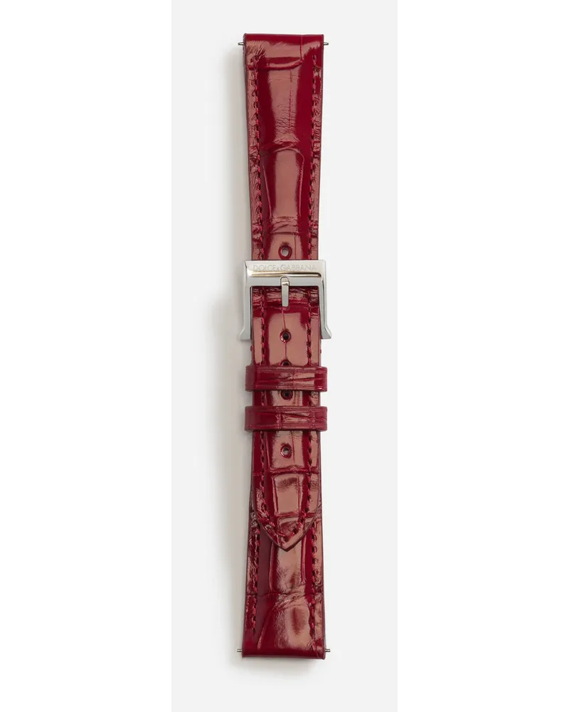 Dolce & Gabbana Alligator Strap With Buckle And Hook In Steel - Donna Cinturini Da Orologio Rosso Rosso