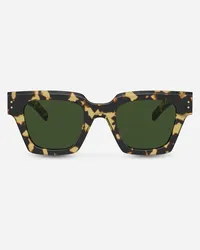 Dolce & Gabbana Dg Icon Sunglasses - Uomo Occhiali Da Sole Avana Gialla Generic