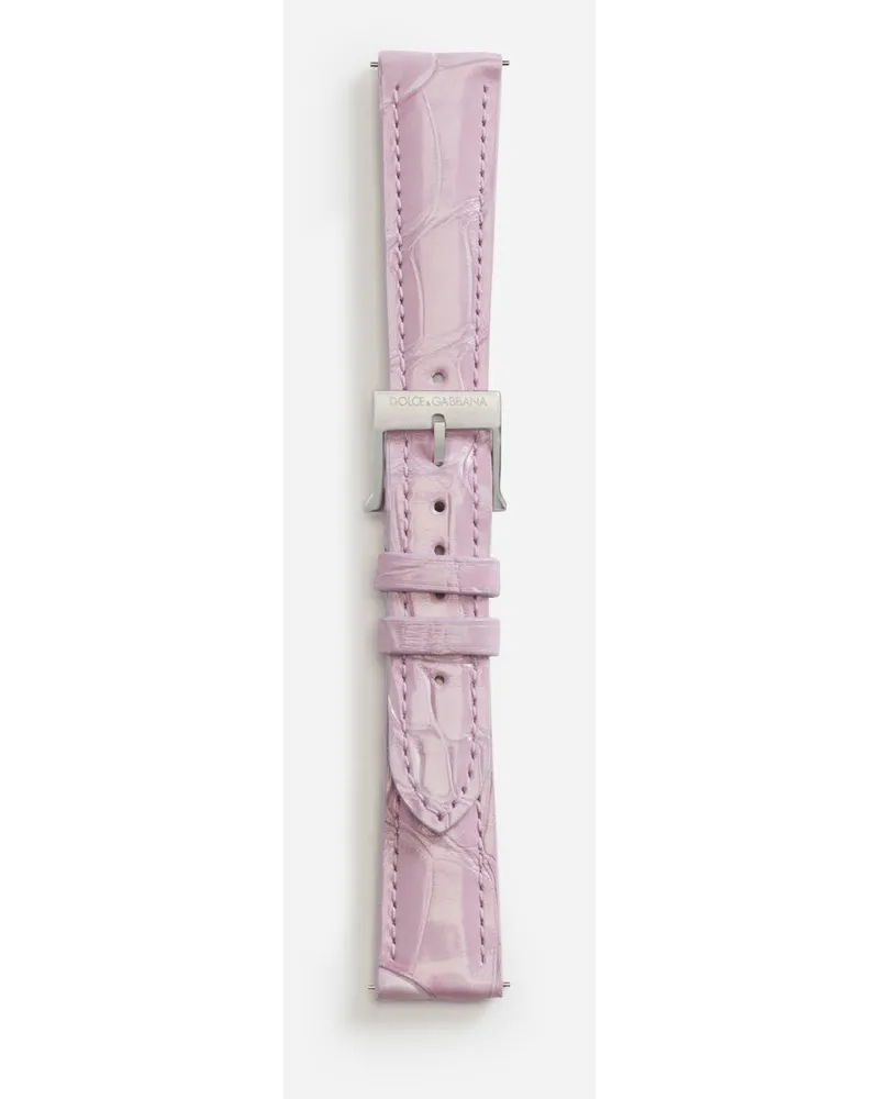 Dolce & Gabbana Alligator Strap With Buckle And Hook In Steel - Donna Cinturini Da Orologio Malva Malva