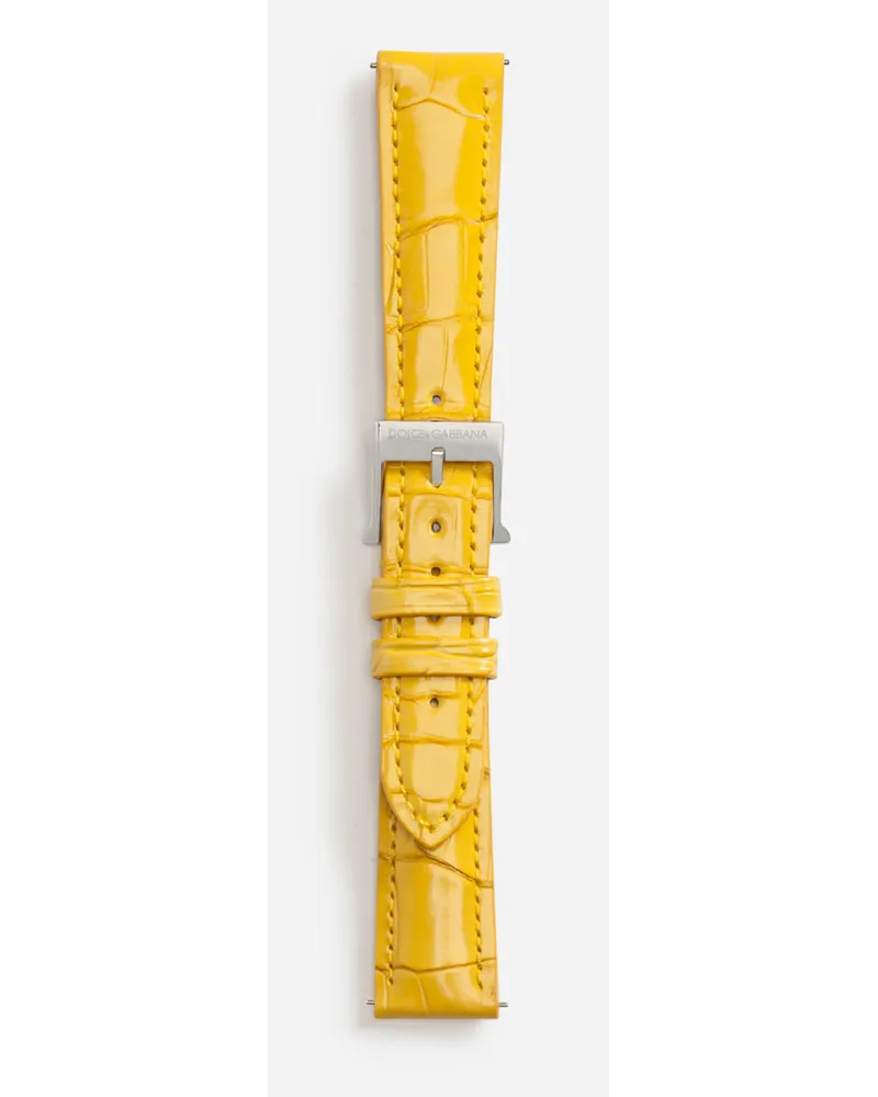 Dolce & Gabbana Alligator Strap With Buckle And Hook In Steel - Donna Cinturini Da Orologio Giallo Giallo