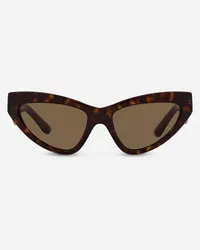 Dolce & Gabbana Dg Crossed Sunglasses - Donna Novità Avana Acetato Generic