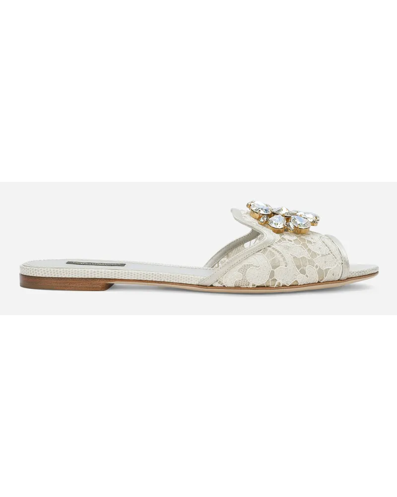 Dolce & Gabbana Slide Rainbow In Pizzo Con Broche - Donna Slide E Mule Grigio Ghiaccio