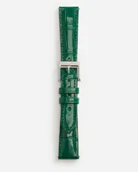 Dolce & Gabbana Alligator Strap With Buckle And Hook In Steel - Donna Orologi E Cinturini Verde Scuro Verde